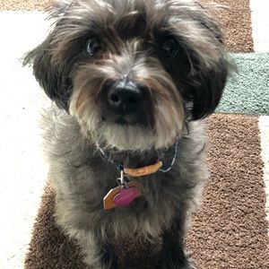 Meet your Posher, Kristin